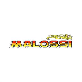 RICAMBI MALOSSI