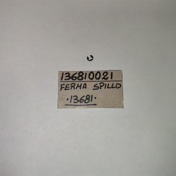 FERMAGLIO SPILLO PER PHVA12BD