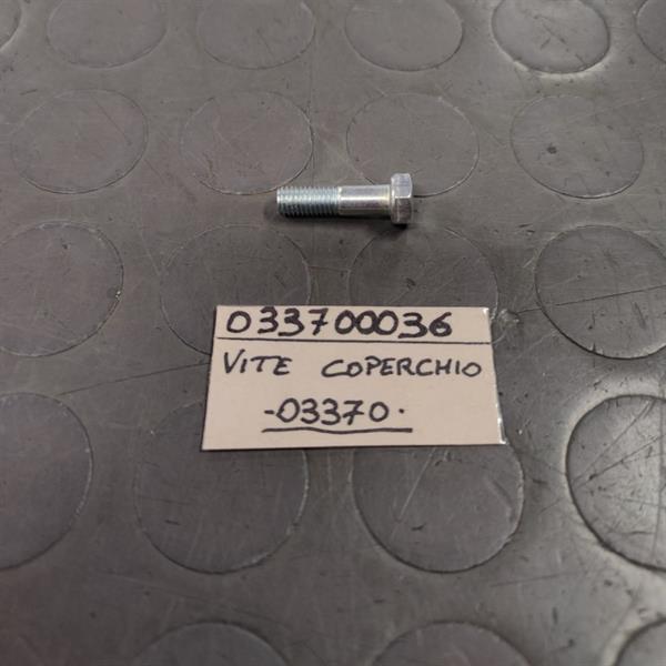 VITE FISSAGGIO COPERCHIO PER SHA1210