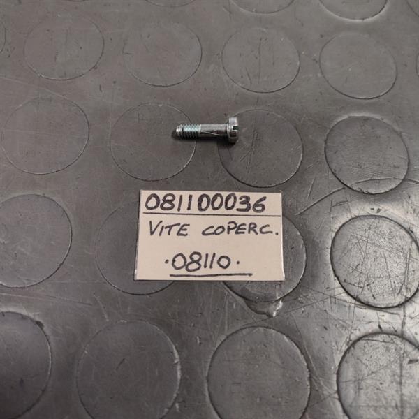 VITE FISSAGGIO COPERCHIO PER SHA1210