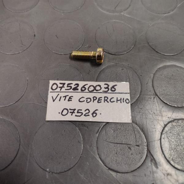 VITE FISSAGGIO COPERCHIO PER FRDC34 E