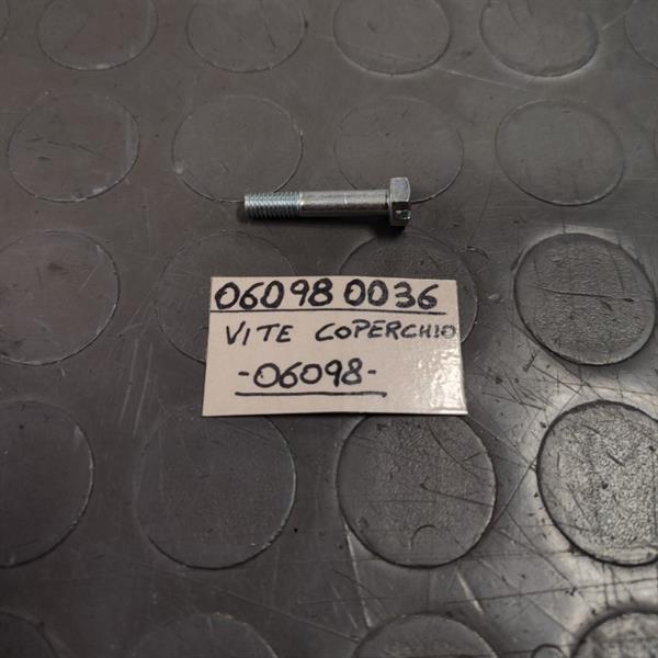 VITE FISSAGGIO COPERCHIO PER SI 72424E