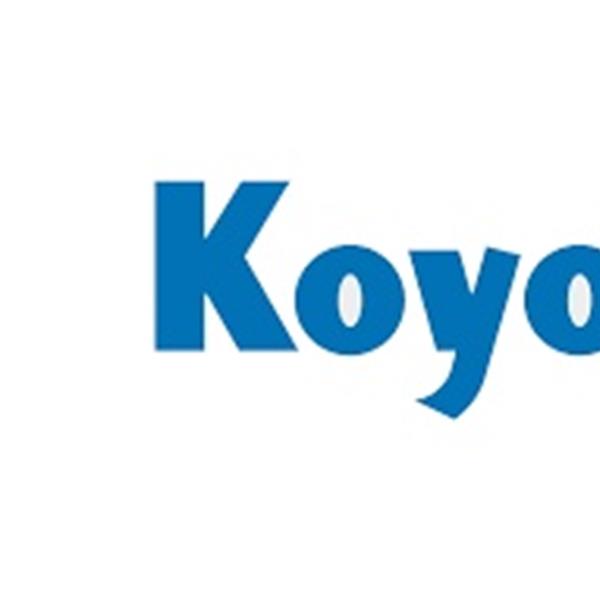 CUSCINETTO KOYO 6005FG/C4  25X47X12