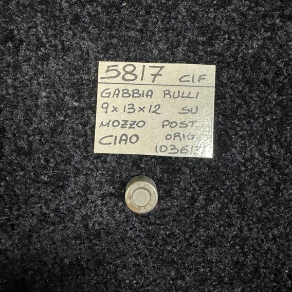 GABBIA RULLI 9X13X12 SU MOZZO CIAO