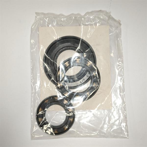 SERIE PARAOLI MOTORE APE P601 CAR MP P400