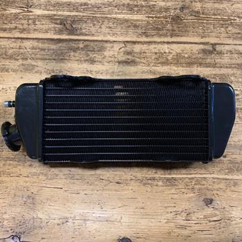 RADIATORE BETA RR 50