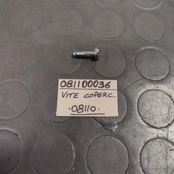 VITE FISSAGGIO COPERCHIO PER SHA1210