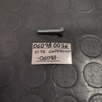 VITE FISSAGGIO COPERCHIO PER SI 72424E