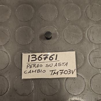 PERNO SU ASTA CAMBIO