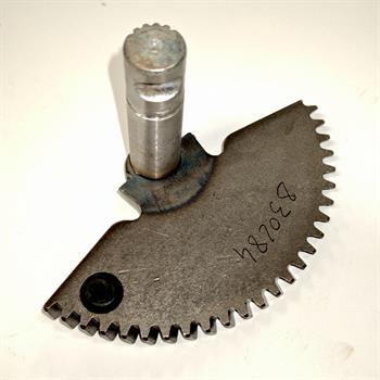 SETTORE MESSA IN MOTO ZIP 125