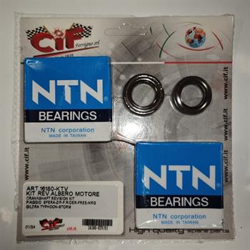KIT REVISIONE ALBERO MOTORE CON PARAOLI