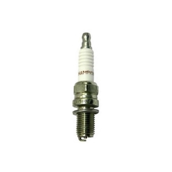 champion-246210350